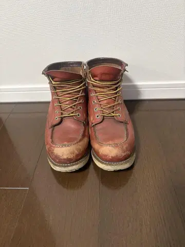 레드윙 RED wing 8875