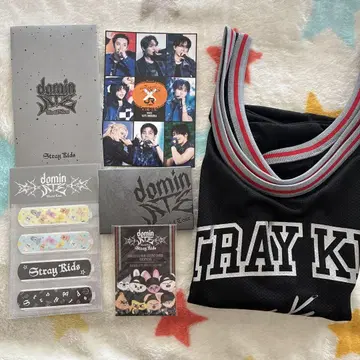 Stray kids dominATE 업그레이드 굿즈 세트