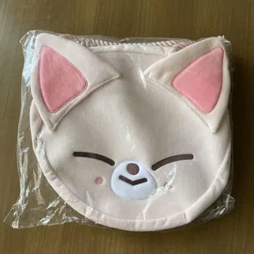 stray kids popup FoxI.Ny 토트백