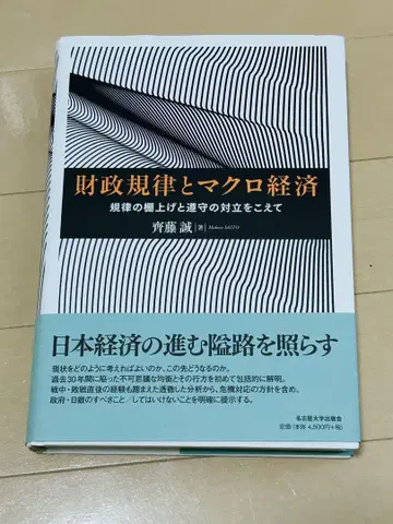 재정 규율과 거시 경제