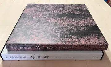 센주 히로시 화집 [ 물의 소리 ] Hiroshi Senju 2002