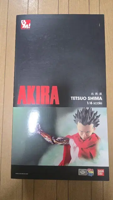 AKIRA 시마테츠오 1/6 스케일