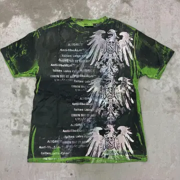 1점 에이치 나오토 헤이세이 그런지 갸루 00s y2k 그린 장미