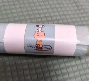 스누피 뮤지엄 A2 포스터