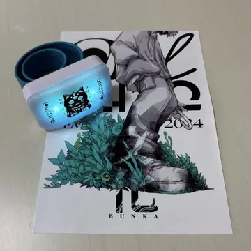 Eve Culture LED 라이트 밴드