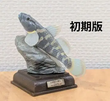 네이처 테크니컬러 일본의 청류 토우요시노보리