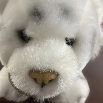 (9-75) 화이트 타이거 봉제 인형 auroraClassic 30cm
