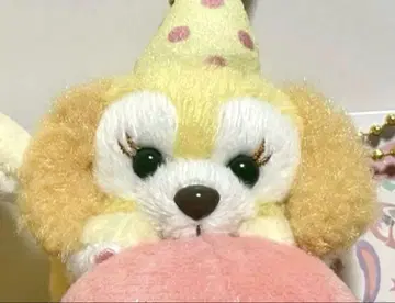 쿠키앤 봉제 인형 참 프로옴 올 오브 아스 풍선 파티