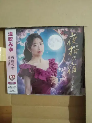 밤벚꽃의 숙소