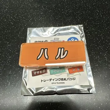 하루 초특급 후지비지 스쿨 명찰