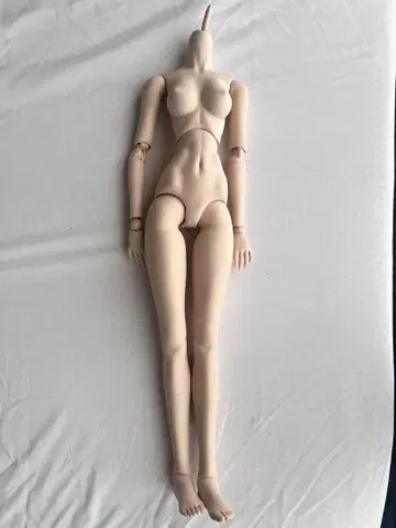 DD 돌피드림 바디 본체