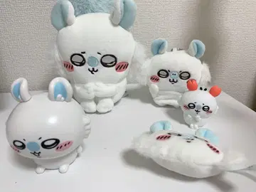 모몽가 세트