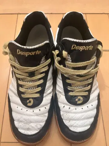 Desporte 풋살화