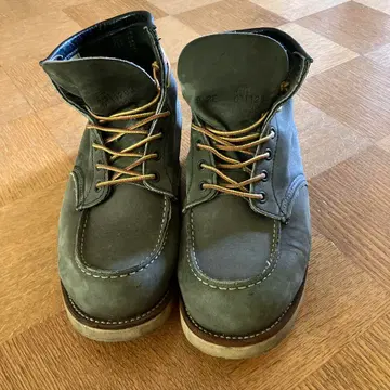 가격 인하했습니다 레드윙 아이리쉬 세터