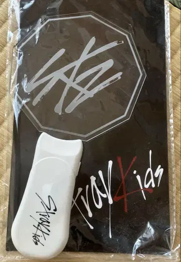Stray Kids 공식 응원봉