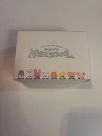 straykids magicschool 팬미팅 카메라