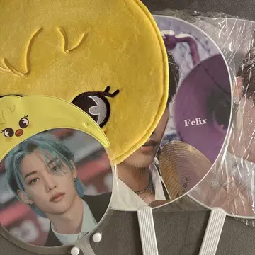 Felix 부채