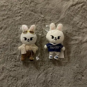 스키즈 백참 Leebit