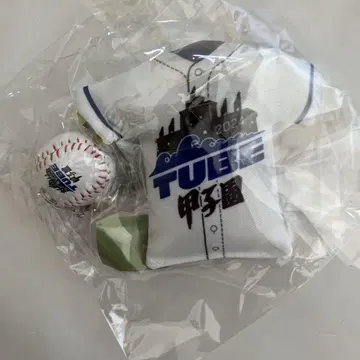 TUBE 한신 고시엔 구장 100주년 기념 키체인 2개 세트