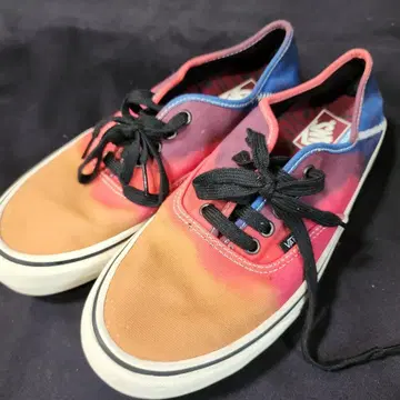 VANS (AUTHENTIC SF) MULTI 26.5cm