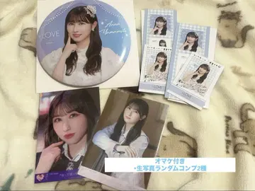 야마모토 안나 묶음 판매
