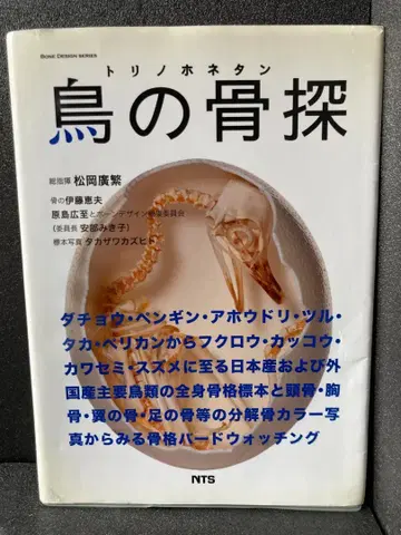 새 뼈 탐색