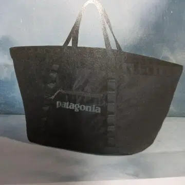 patagonia 블랙 토트백