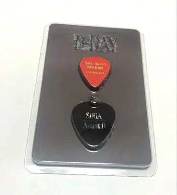 D-DAY SUGA Agust D 카나가와 피크