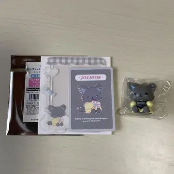 JOCHUM 피 하이 경질 카드 케이스 시크릿 마스코트