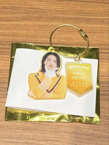 BUDDiiS 에비라이 2025 아크링 키링 모리 슈토