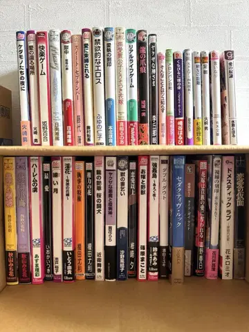BL 소설 42권 세트