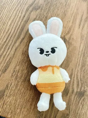 스키즈 리 비트 리노 백참
