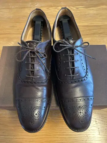 처치 Diplomat 173 8.0F 세미브로그