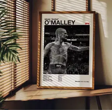 UFC 션 오말리 포스터 격투기 아트