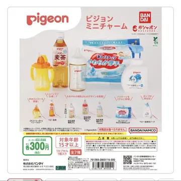 Pigeon 피 미니 참