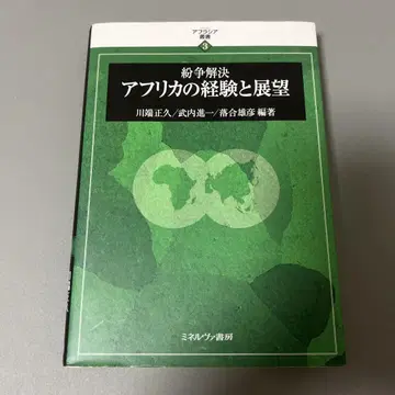 분쟁 해결 아프리카의 경험과 전망