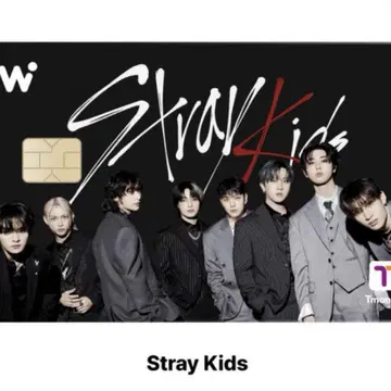 WOWPASS Stray Kids 스키즈 와오패스