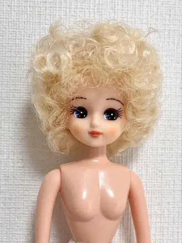 리카짱 캐슬 아프로리카짱