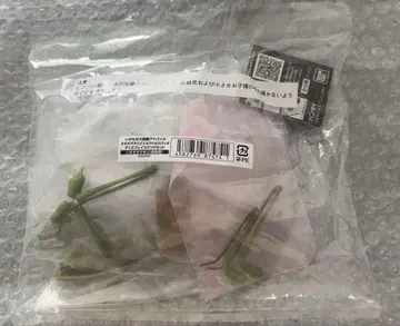 대사마귀 (그린 컬러형) 온라인판 생물대도감 어드밴스