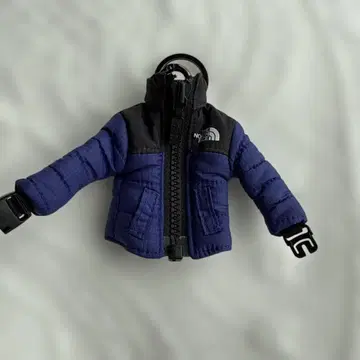더 노스페이스 THE NORTH FACE 미니 눕시 자켓 키링