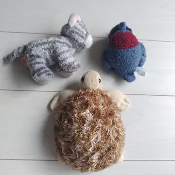 츄라우미 수족관 거북이 NIFREL 왕관비둘기 외 봉제 인형 3세트