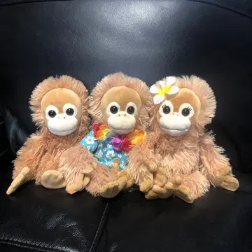 Baby coco 오랑우탄 봉제 인형 3개 세트
