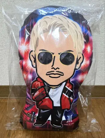 3대째 이마이치 류지 쿠션