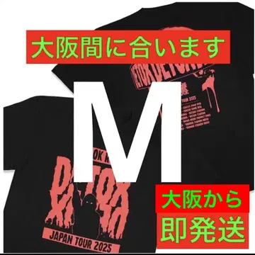 ONE OK ROCK 원옥 DETOX 2025 투어 셔츠 M