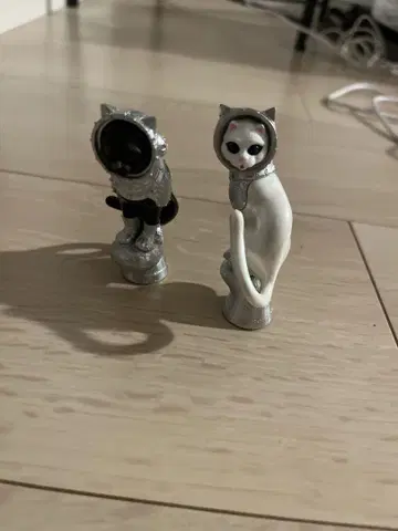 야노베 켄지 SHIP'S CAT 쉽스캣 Muse
