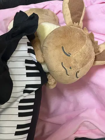 이브이 봉제 인형과 쿠션 세트