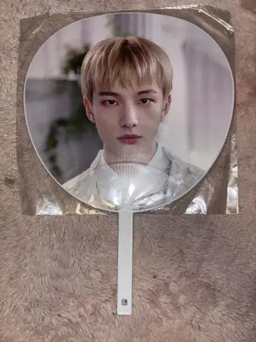 스트레이 키즈 현진 부채