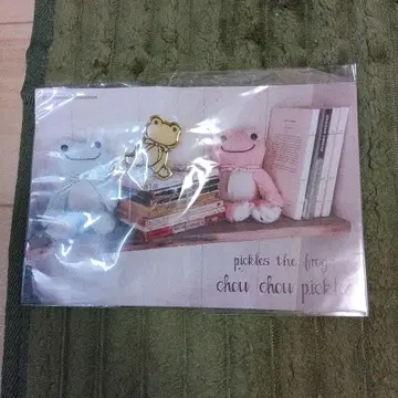 pickles the frog 한정판 스핀스 스크런치 아이보리 미개봉