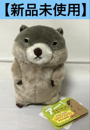 마모트의 모토토 모아 챈키