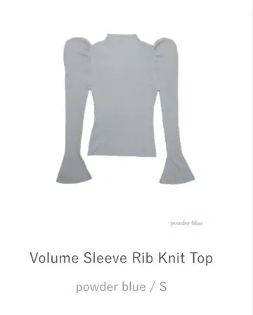 Her lip to Volume Sleeve Rib Knit Top